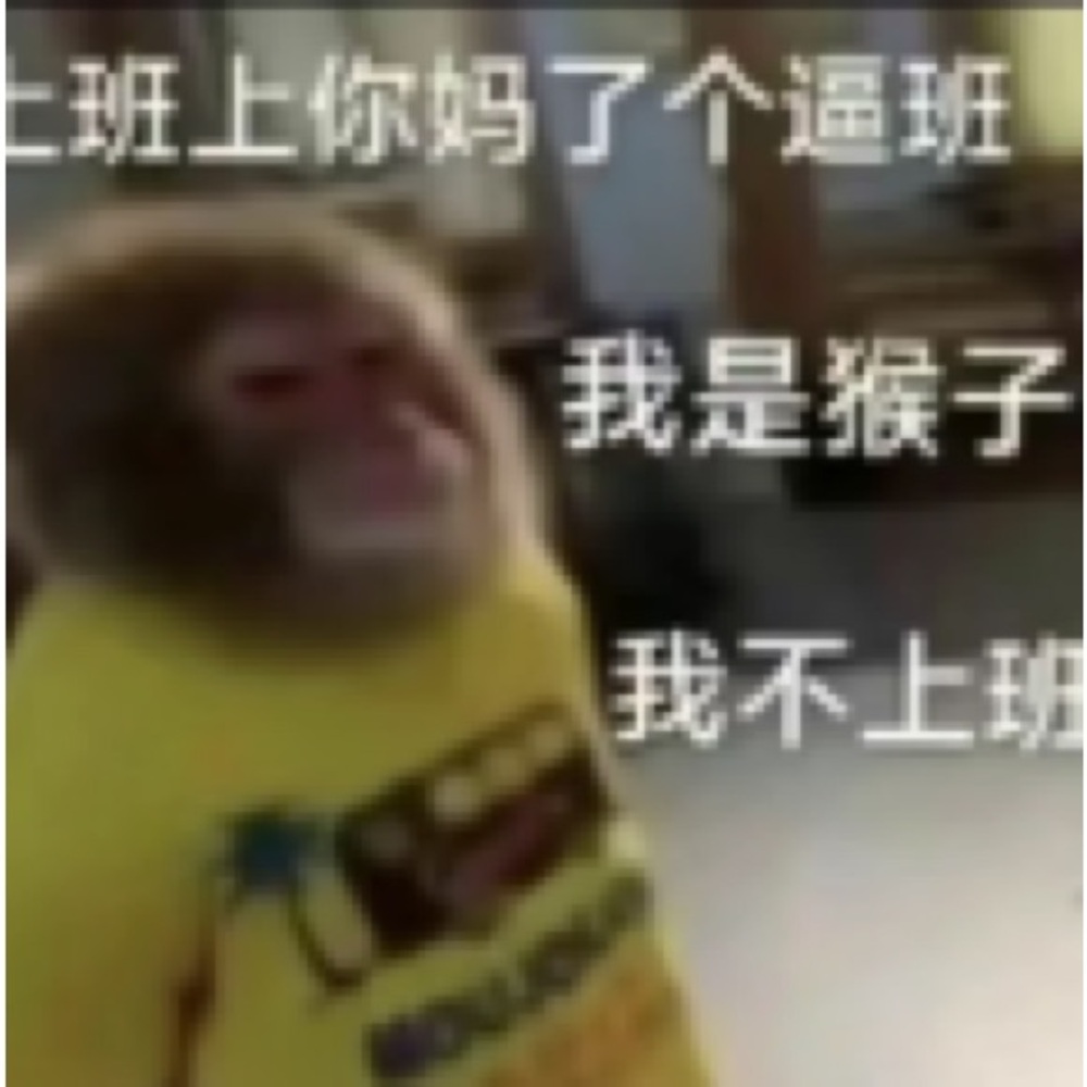 New UGG Tazz Tasman Sandals Women Slipper